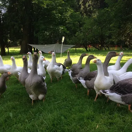 Gaestehaus Berger Appartement Tröpolach