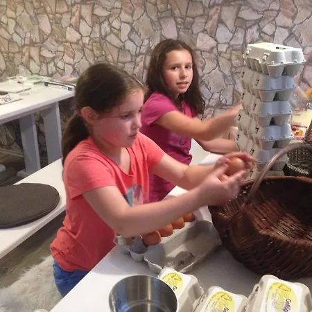 伯杰酒店 特洛普拉赫