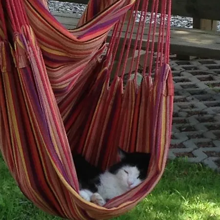 伯杰酒店 * 特洛普拉赫