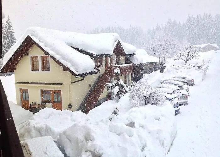 Apartment Gaestehaus Berger